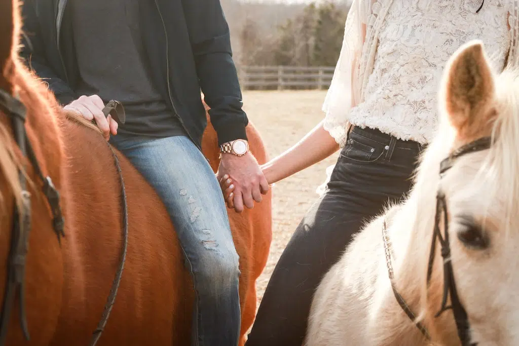 couple holding hands on horses